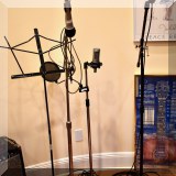 M17. Microphones and mic stands. 